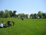 OTFL Gallery Image